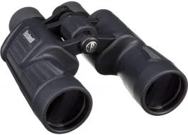 2026_06_01_1006011