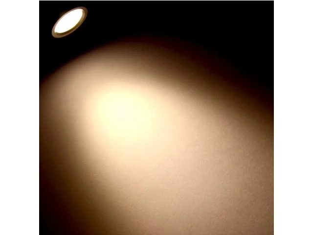 2026_06_01_973648